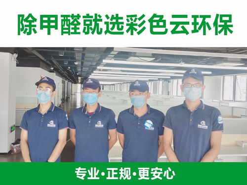 合肥除甲醛公司與教育咨詢(xún)服務(wù) 跨界融合，守護(hù)健康學(xué)習(xí)空間